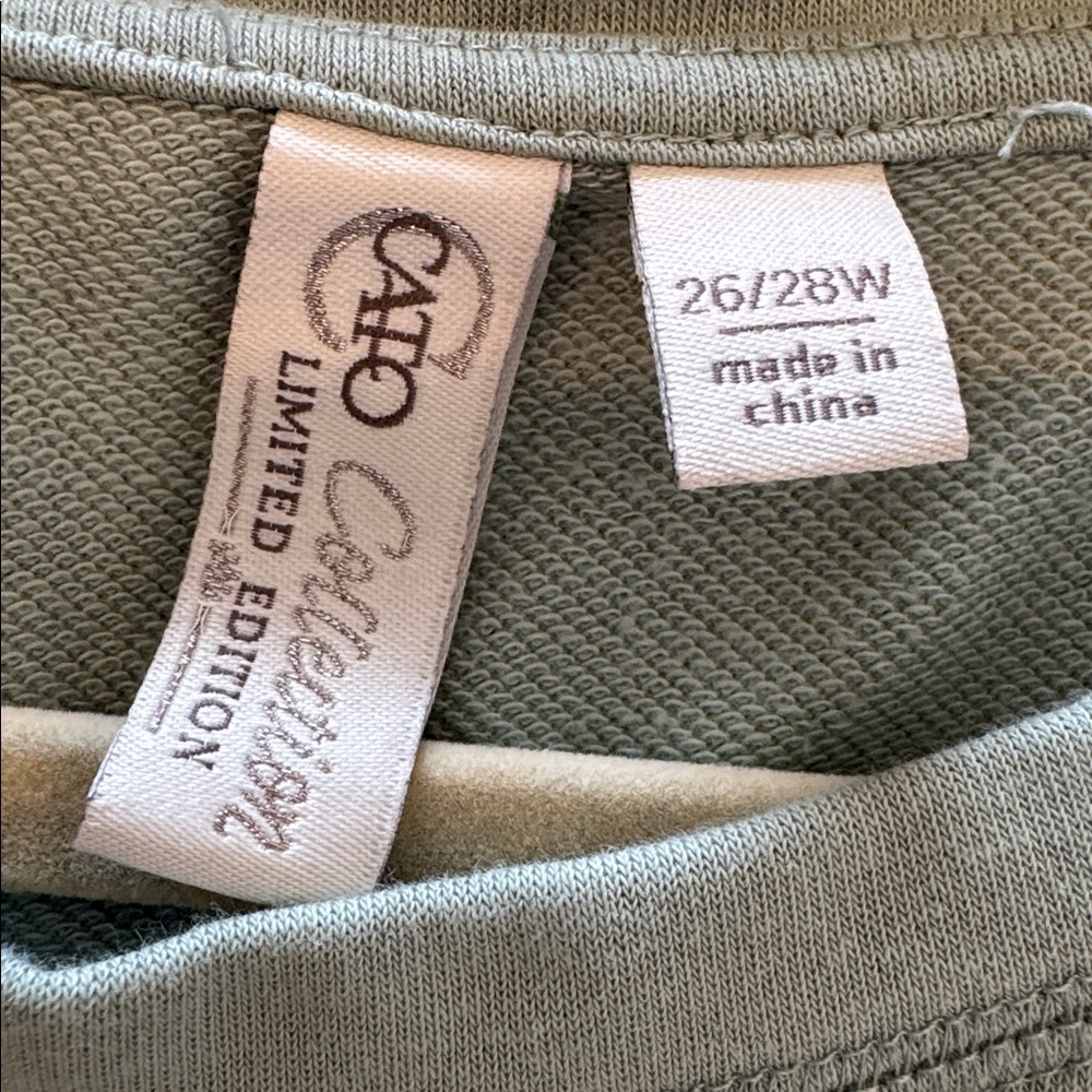 ÇATO Embroidered Crewneck French Terry Sweatshirt Top - Sage Green 3X - Picture 3 of 10